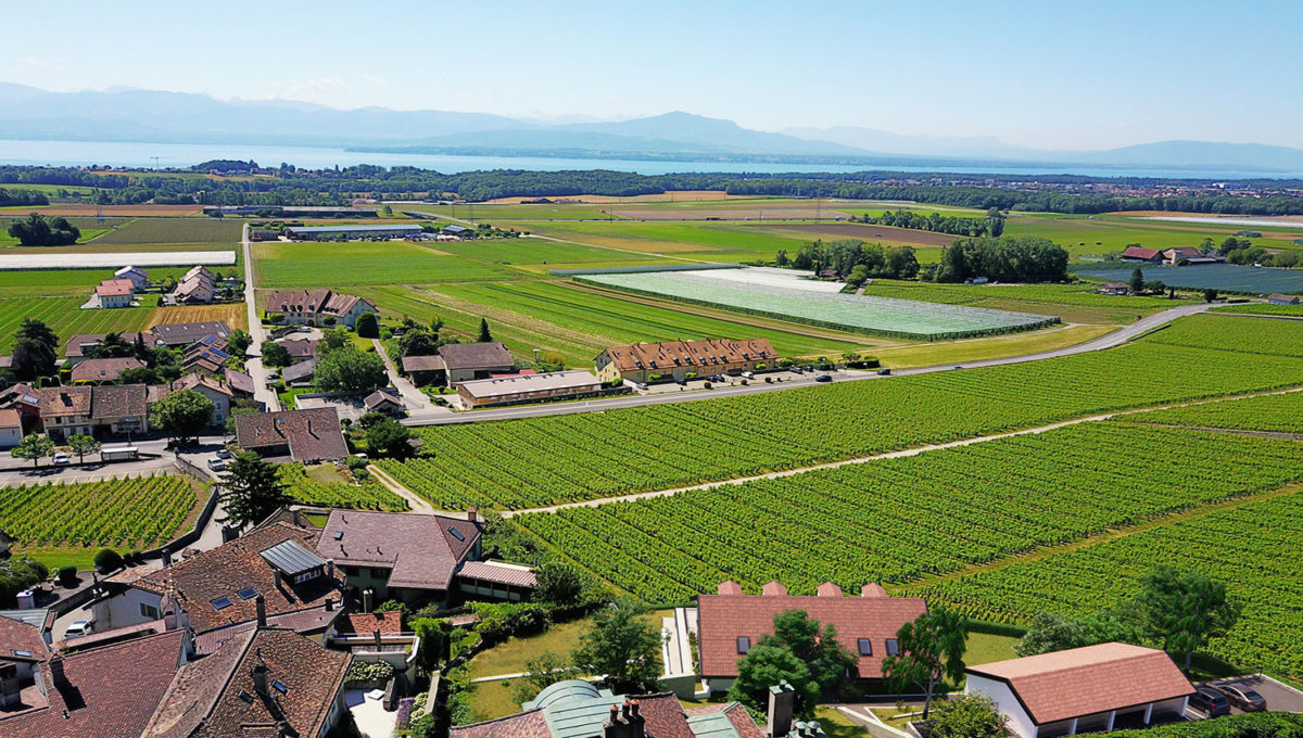 Vinzel-Les Terrasses du Château-20i1615