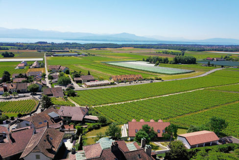 Vinzel-Les Terrasses du Château-20i1615