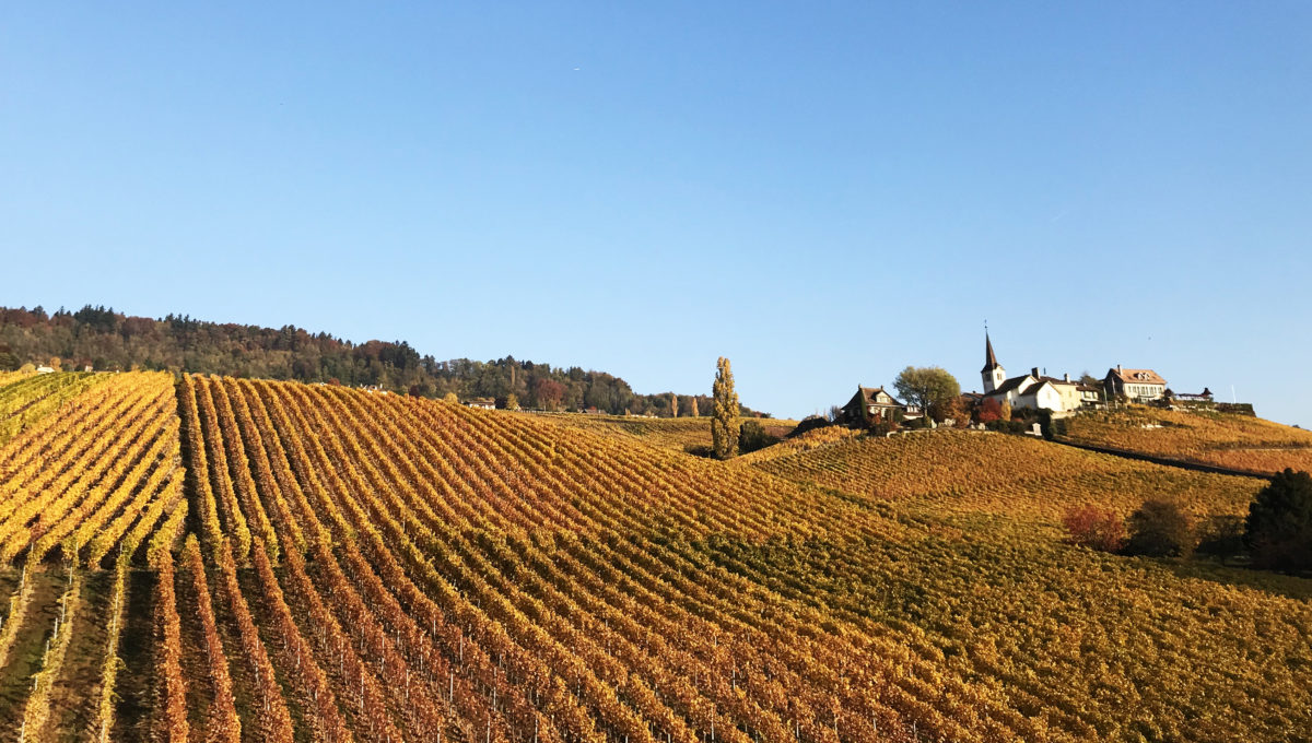 fechy_automne_17