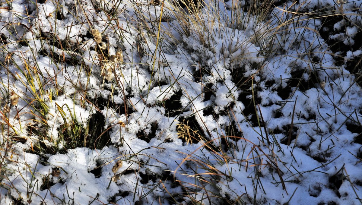 first-snow-3731705_1920
