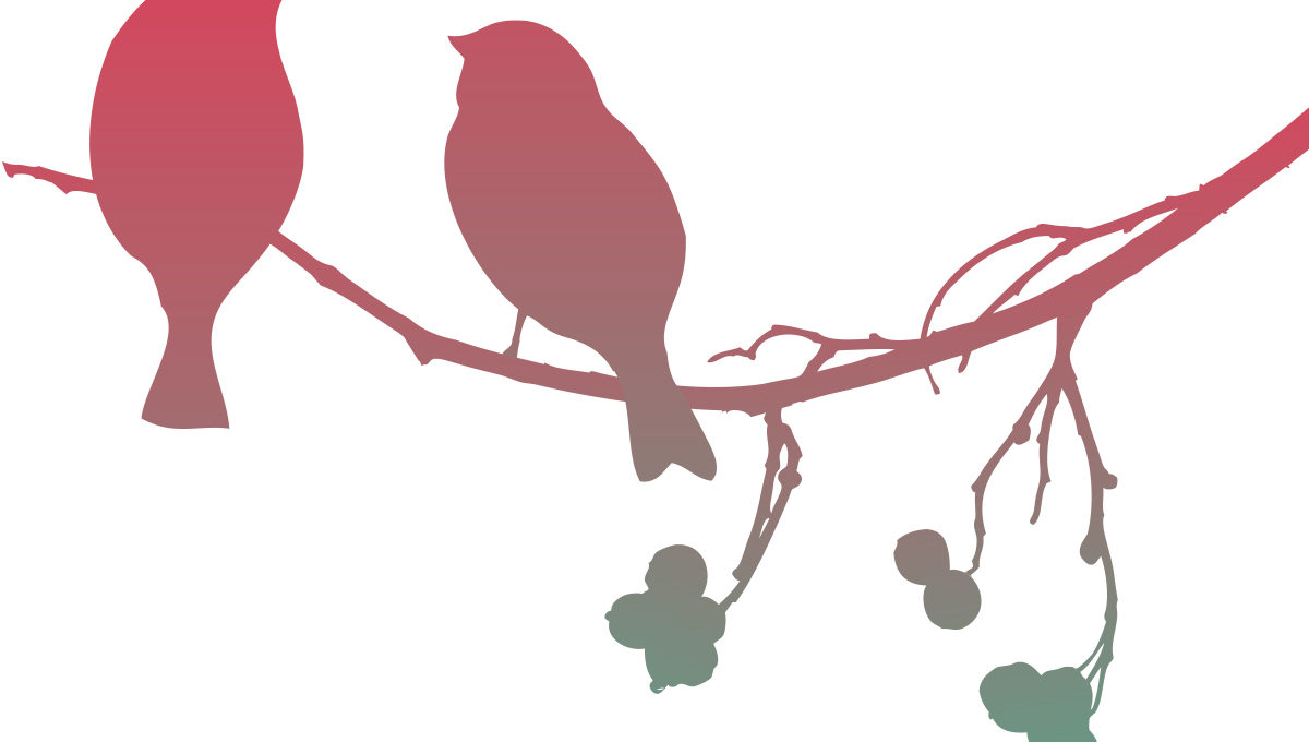 oiseaux