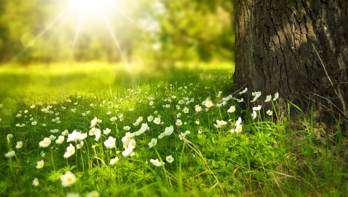 spring-276014_1280